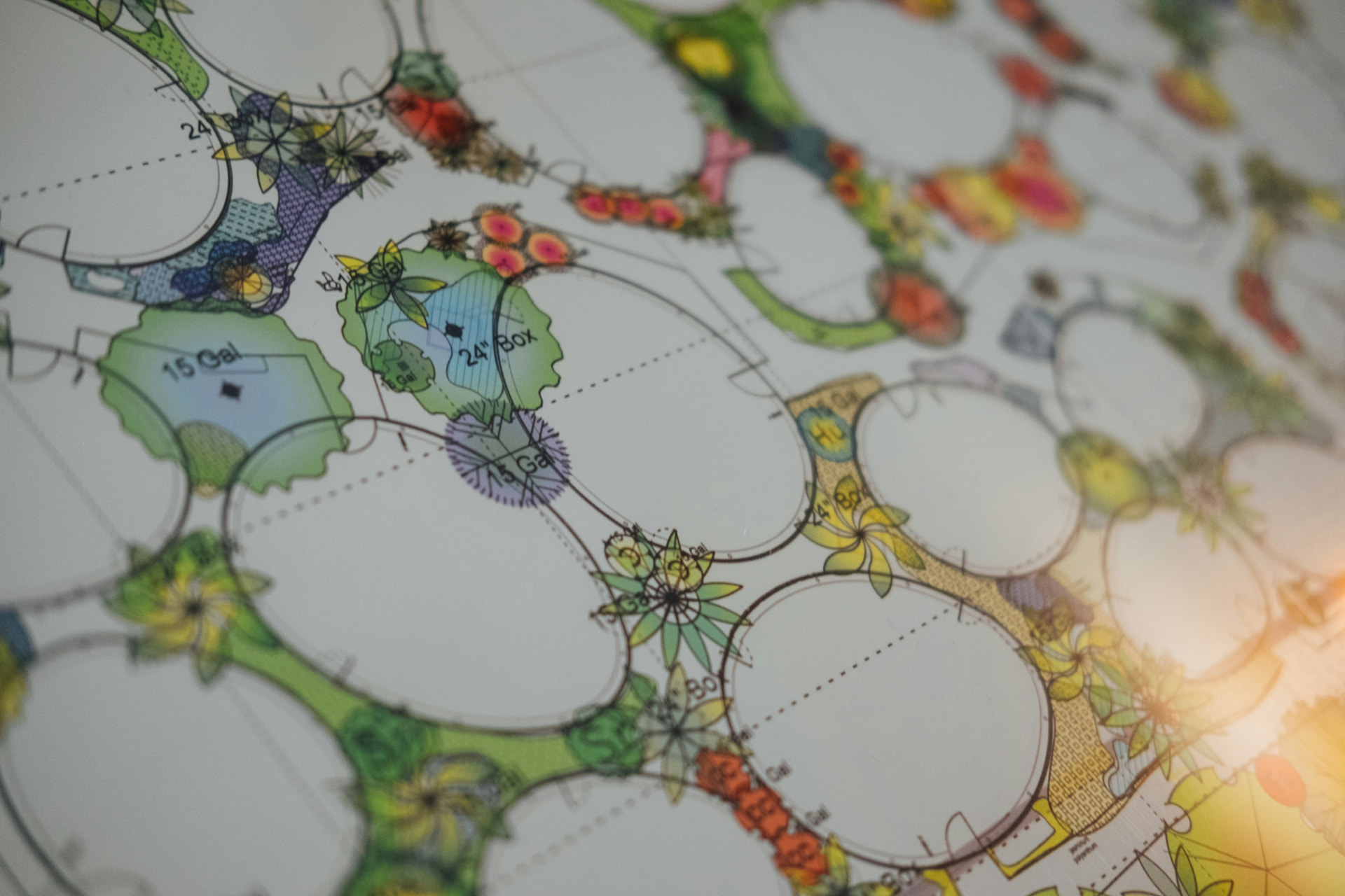 Garden design services