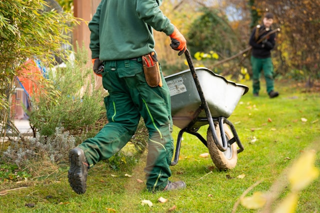 Soft landscaping services